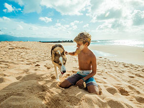 Zanzibar Culture & Spice Safari