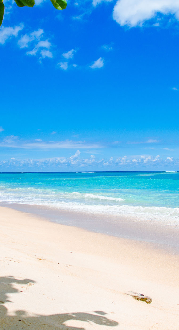 Luxury Zanzibar Safaris