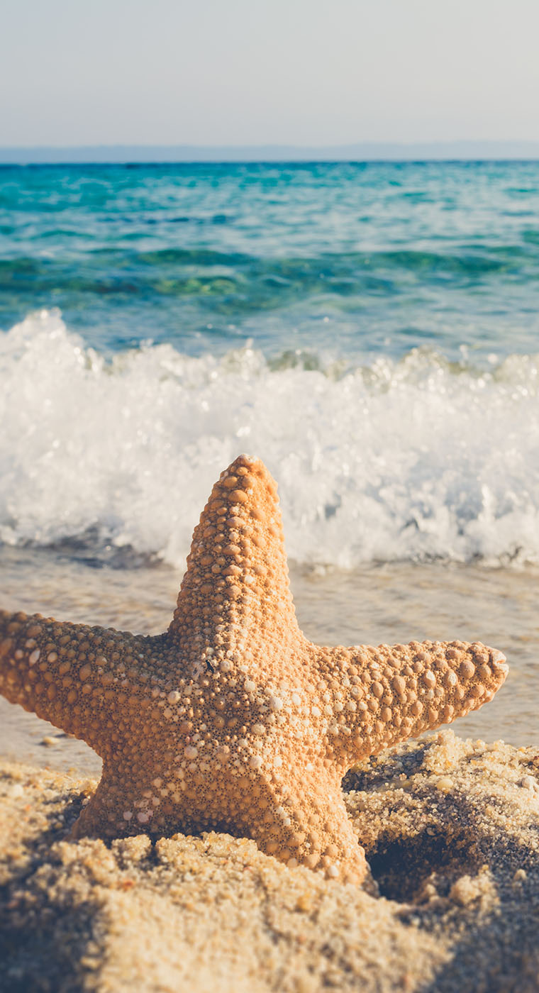 Luxury Zanzibar Tours