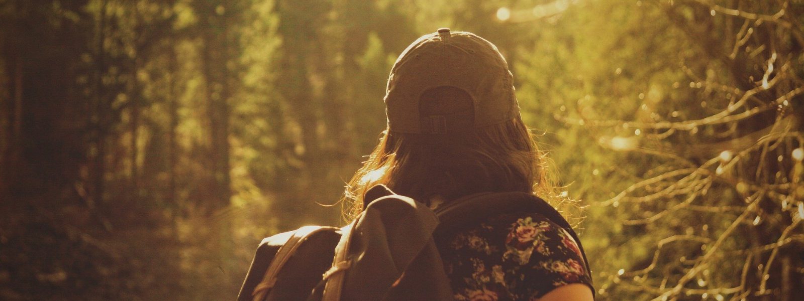 1 Day Arusha National Park Tour