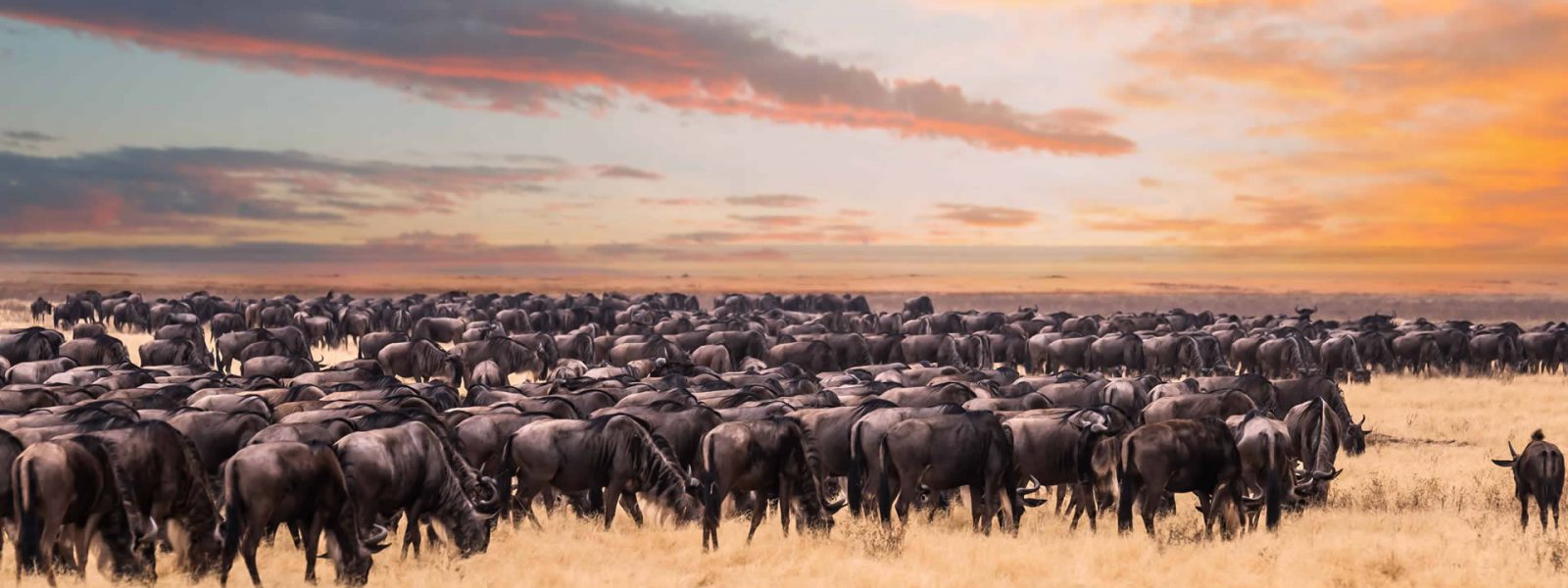 Best Tanzania Travel Tips