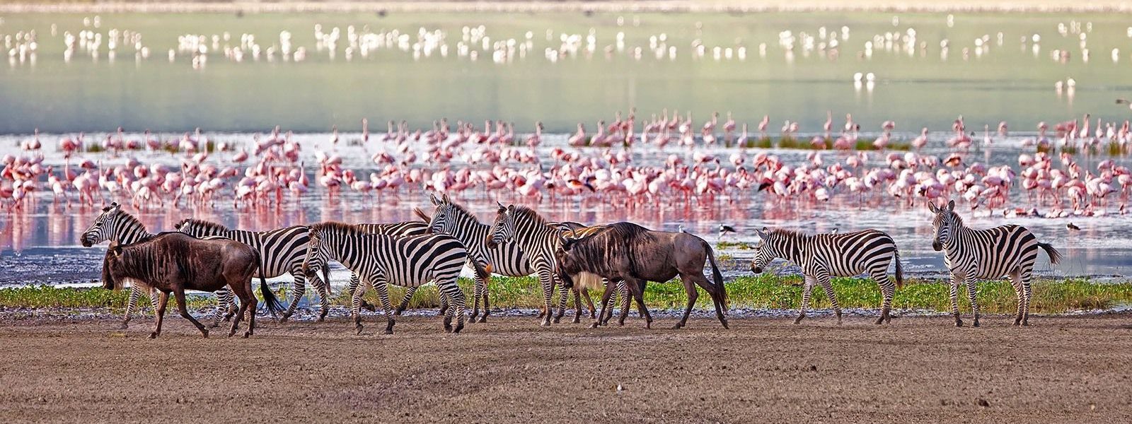 6 Days Tanzania Luxury Vacation