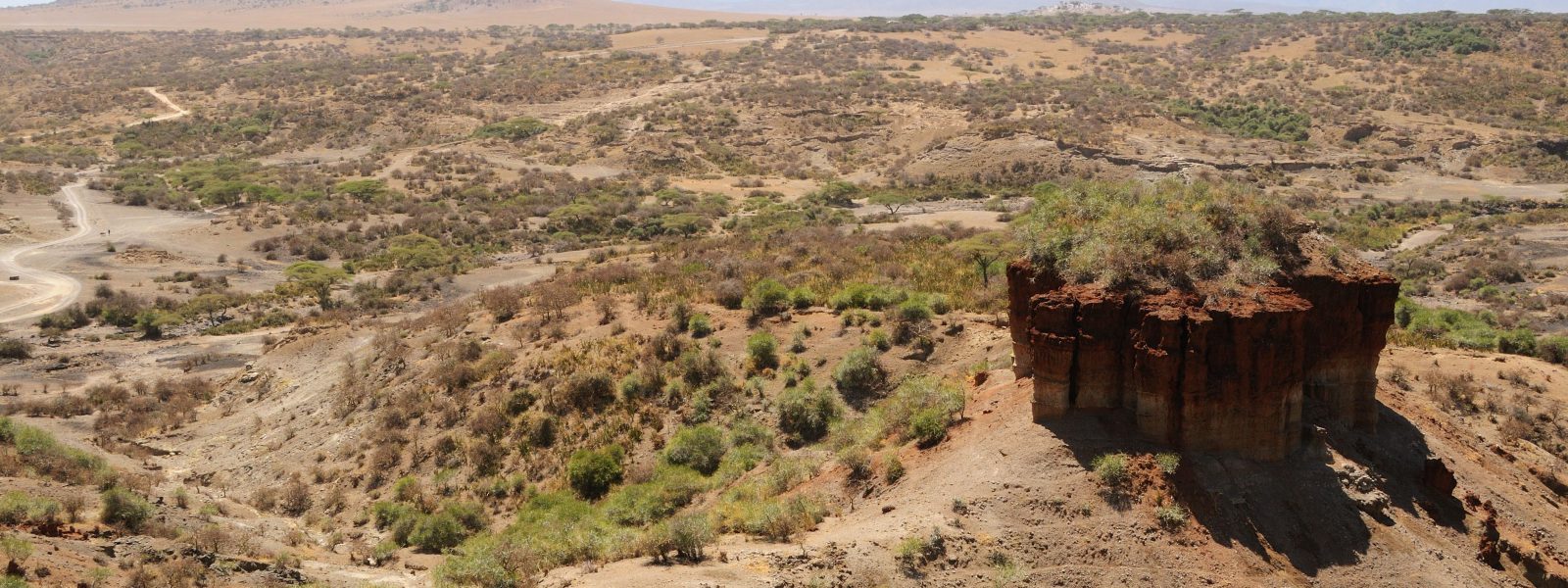 5 Days Epic Tanzania Safari