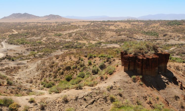 5 Days Epic Tanzania Safari