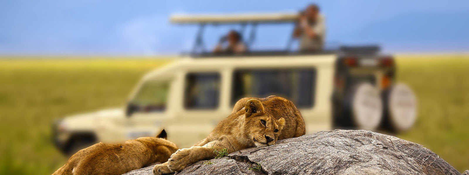 About Our Tanzania Safari Company