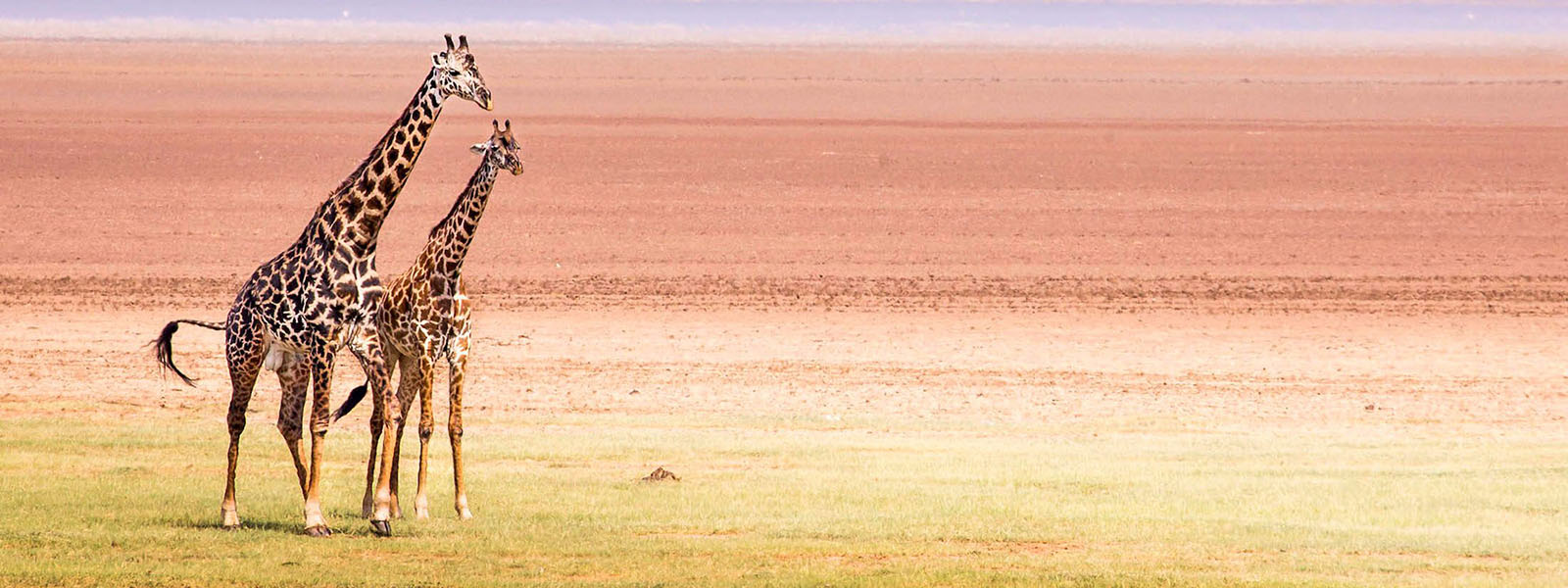 8 Days Tanzania Adventure Safari