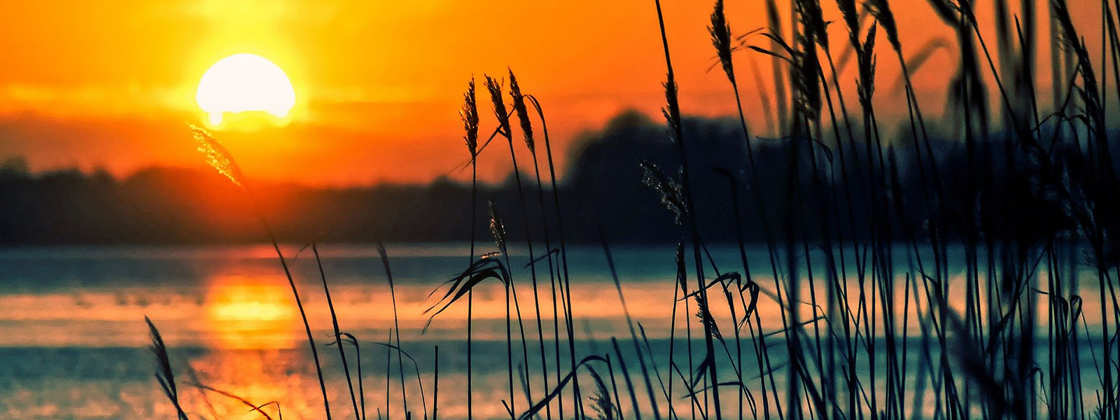 16 Days Gorillas, Migration & Beach